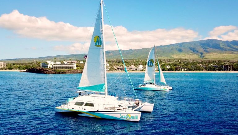 Two catamarans sailing on a clear blue ocean near a scenic coastline.