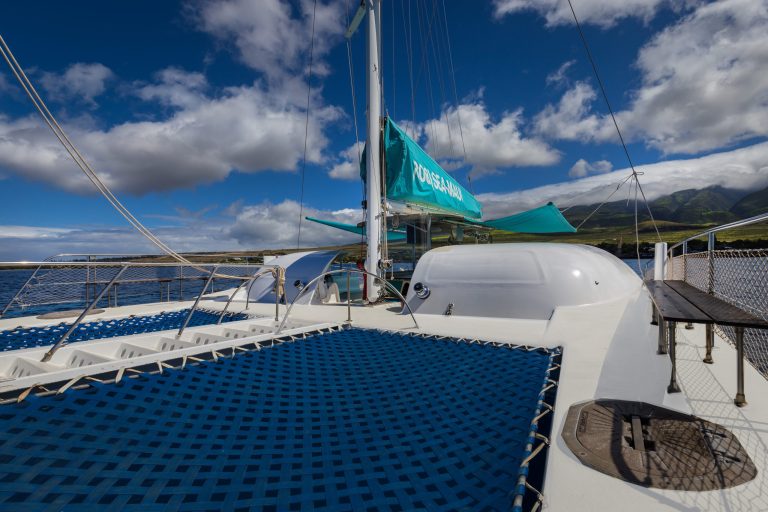 Catamaran with blue netting and sails under a cloudy sky on the ocean.