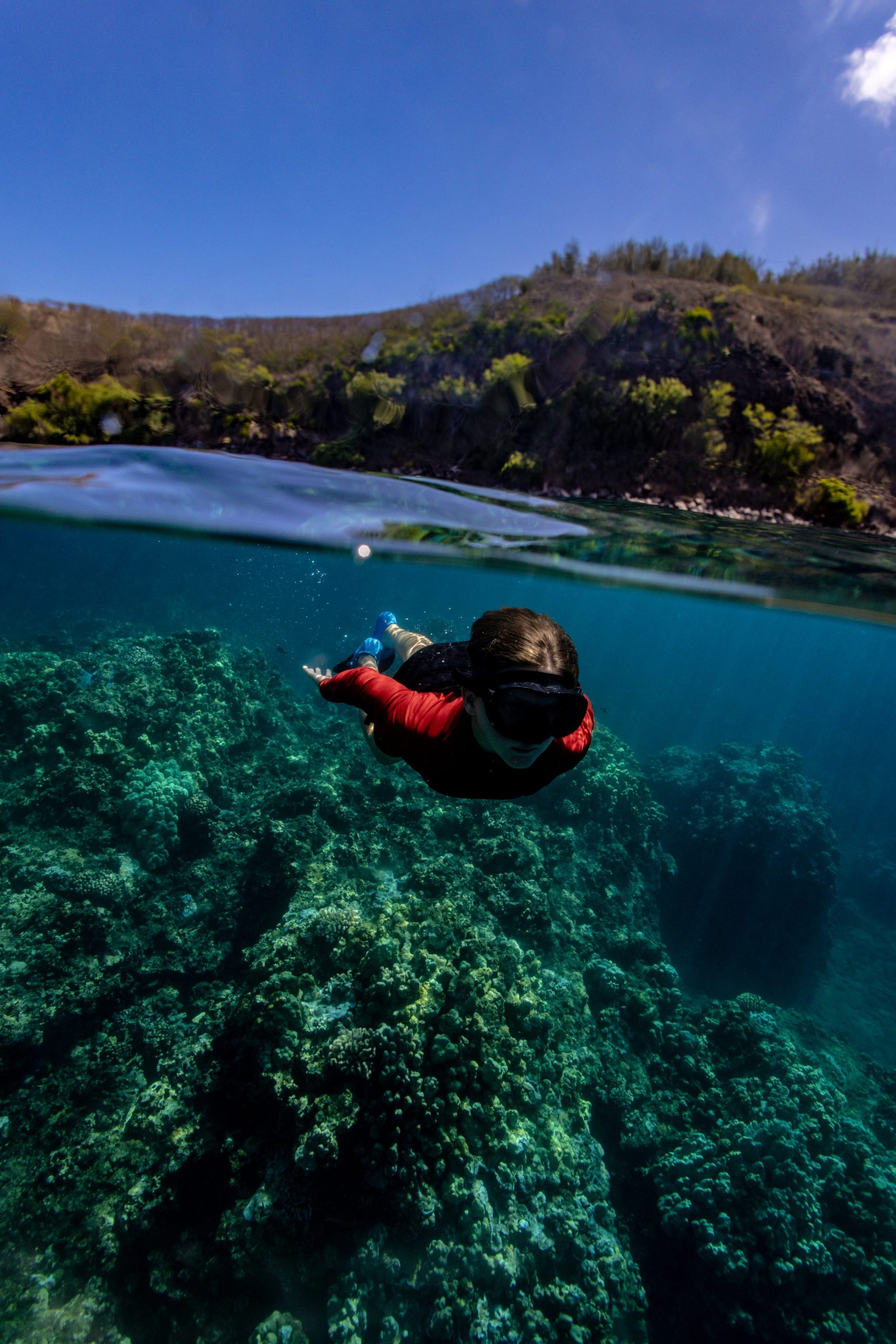 Person snorkeling over coral reef near mountainous coastline.