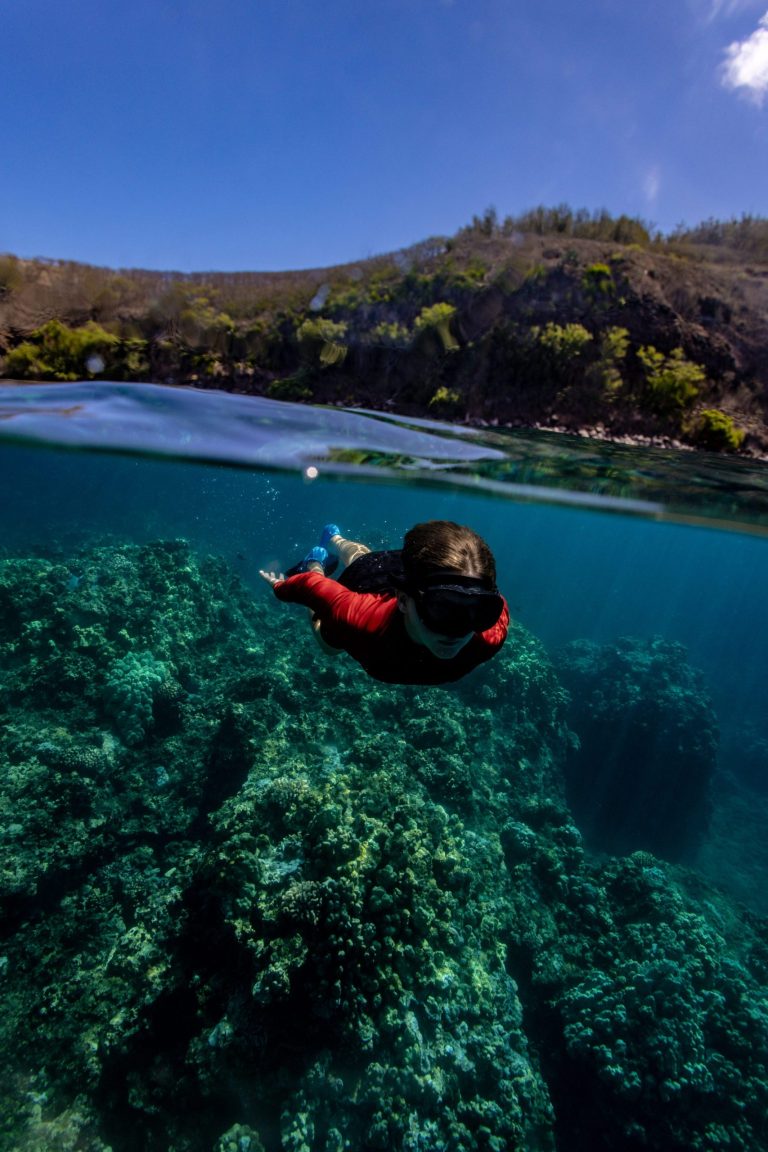Person snorkeling over coral reef near mountainous coastline.