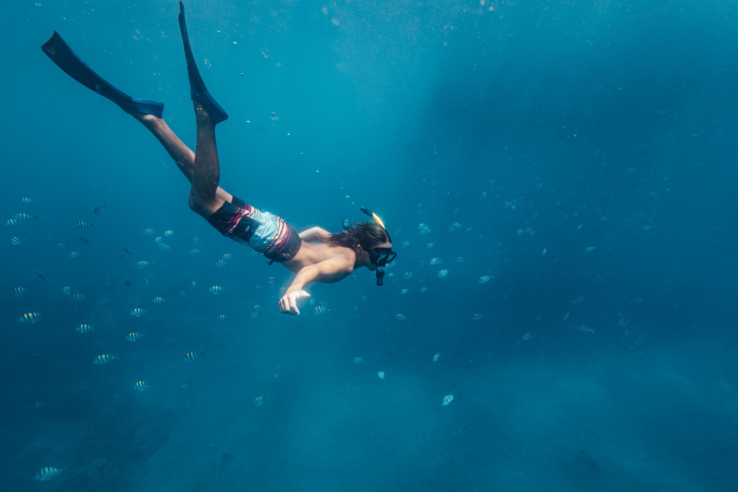 Person snorkeling underwater surrounded by small fish.