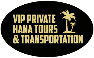 Logo with palm trees: VIP Private Hana Tours & Transportation.