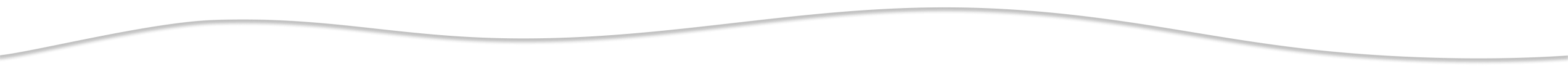 Thin wavy line across a plain white background.