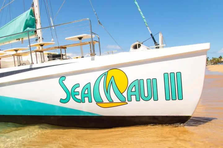 a large ship in the background