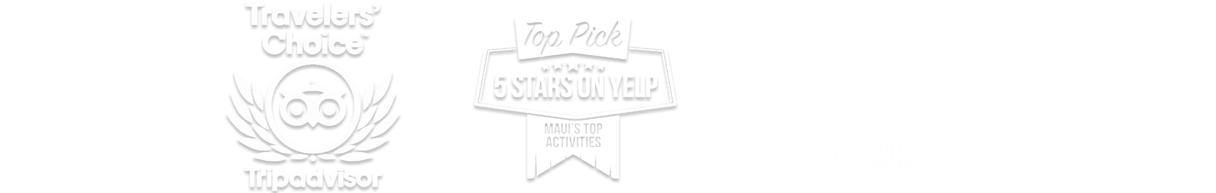 Traveler's Choice and Top Pick badges for excellence.