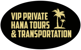 Logo with text 'VIP Private Hana Tours & Transportation' and palm trees on black oval background.