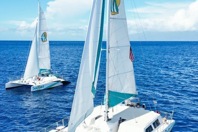 Two catamarans with white sails on blue ocean under clear sky.