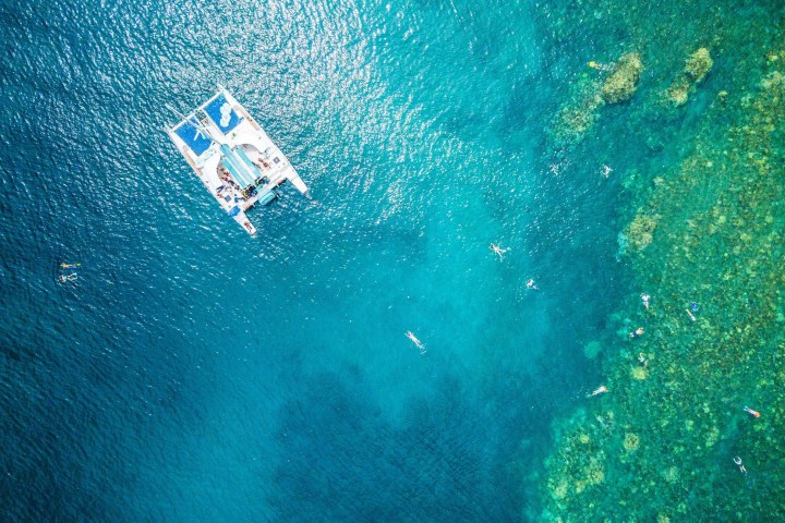 Aerial view of a catamaran and swimmers in clear turquoise water near a reef.